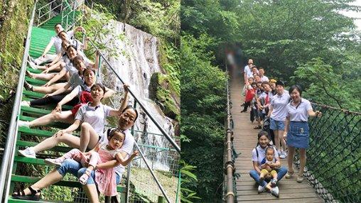 年产值超20亿,济南草莓特色产业崛起